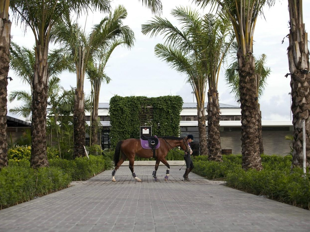 Bali Equestrian Centre景点图片