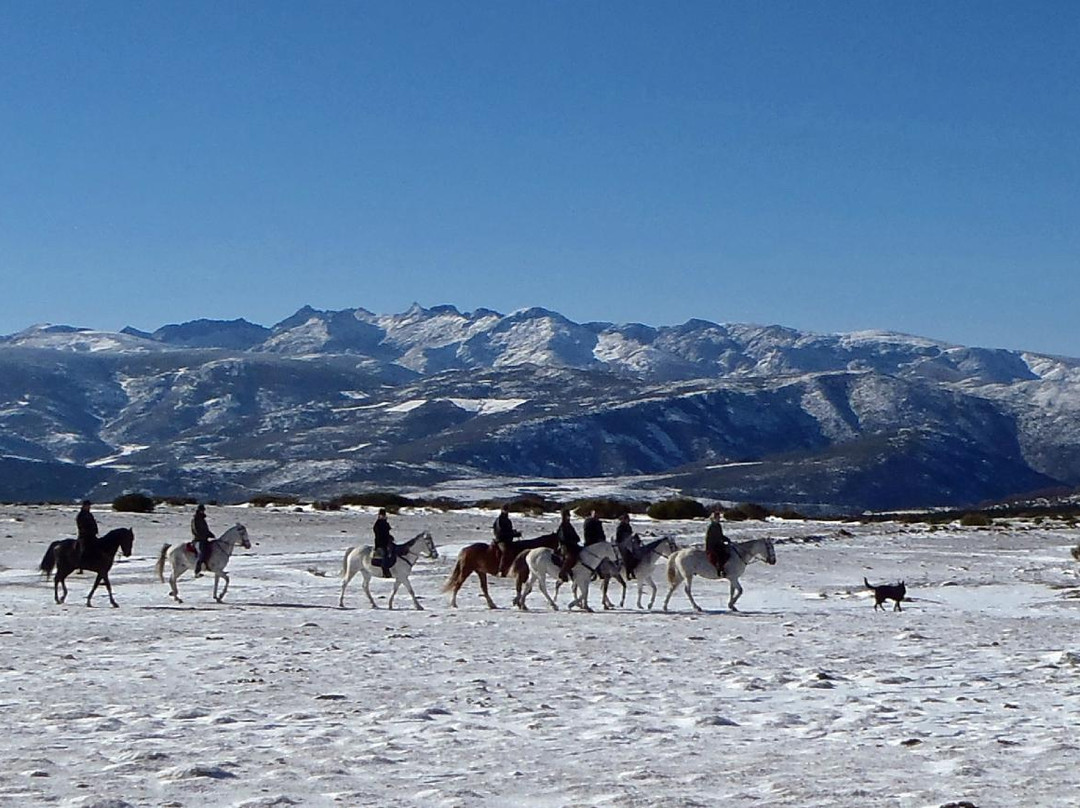 Gredos a Caballo