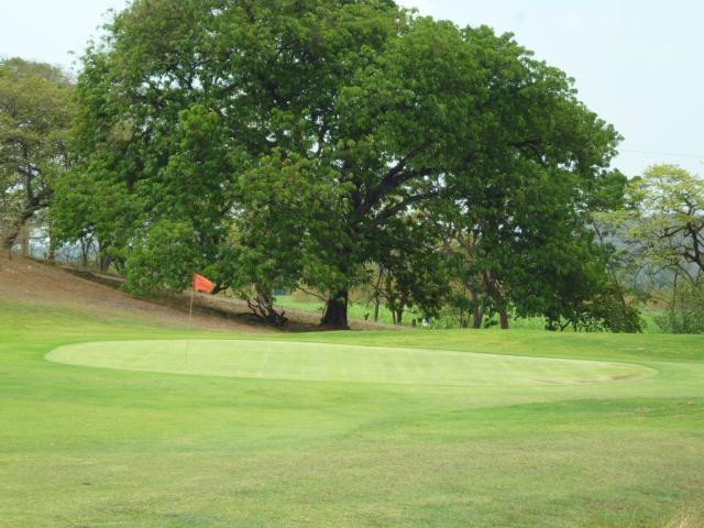 Papagayo Golf & Country Club景点图片