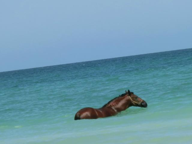 Mezraya Ranch-杰尔巴岛必去景点