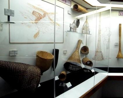 Don Bosco Centre for Indigenous Cultures景点图片