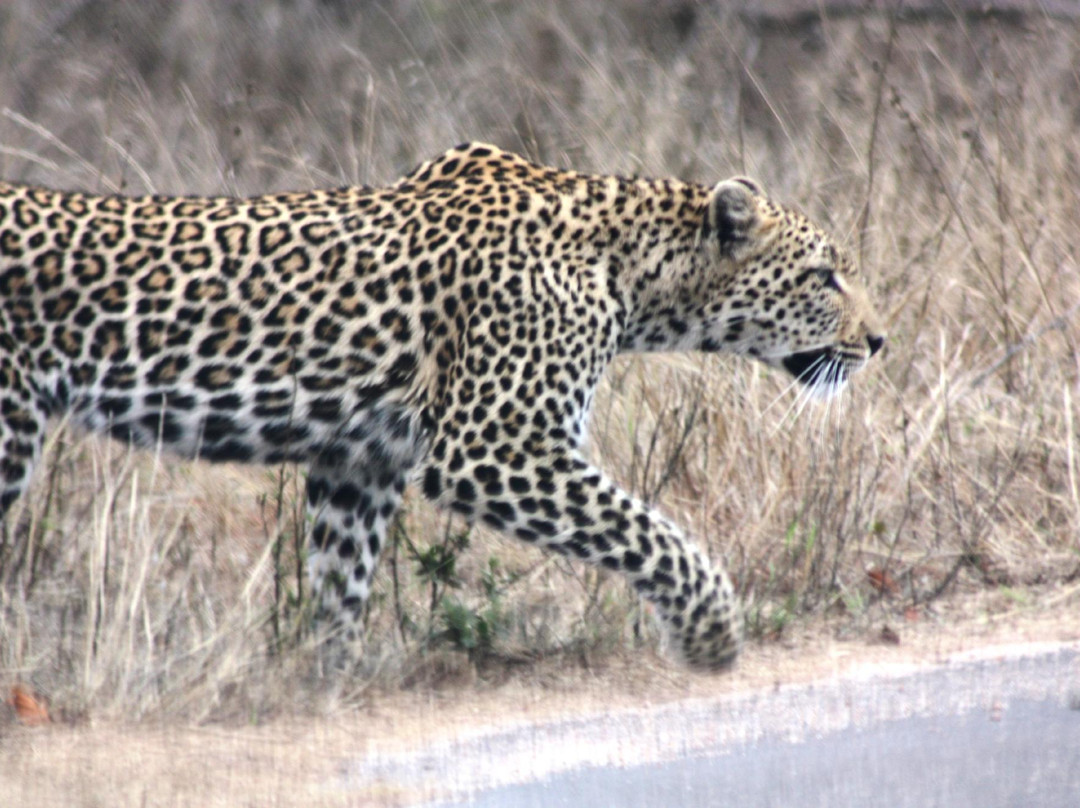 Flight of the Eagle Safaris & Tours-三图里恩必去景点