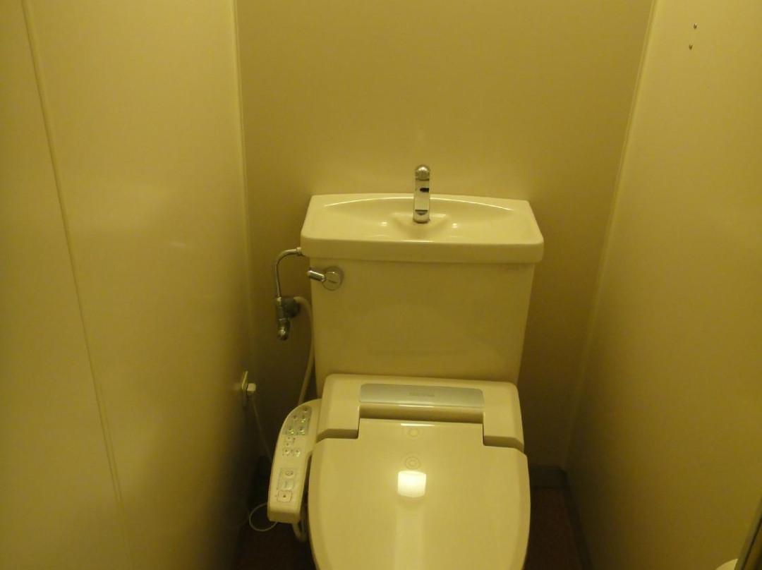 Nishiyaizu Central Hotel主图