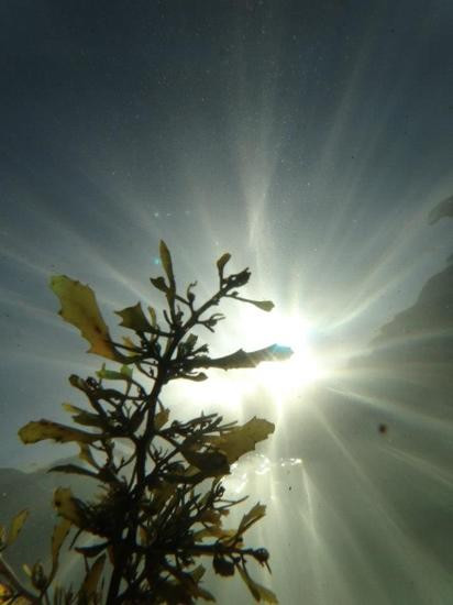克洛夫利-悉尼必去景点