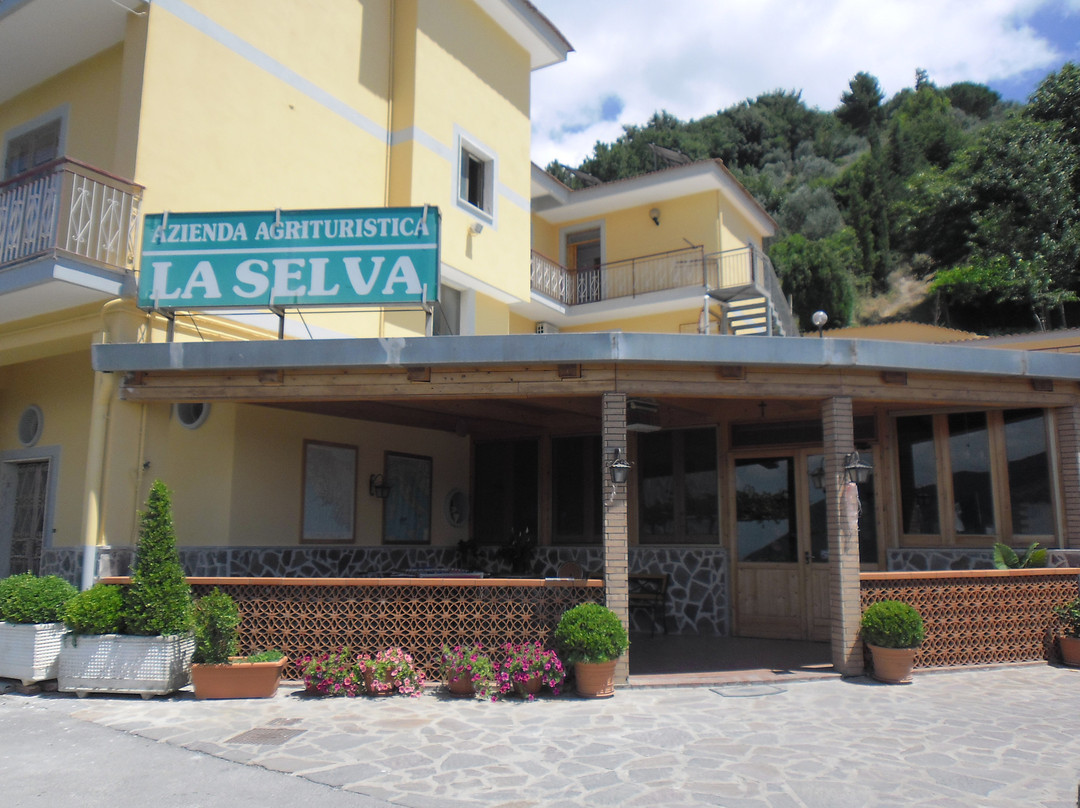 Agriturismo La Selva