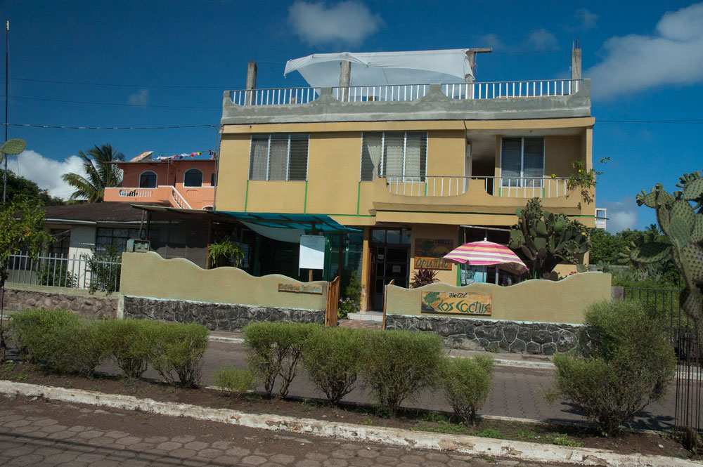 Hotel Los Cactus-官方