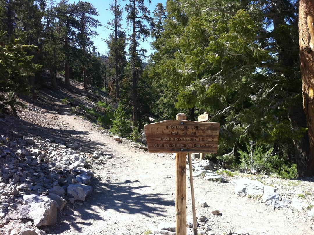 里谷冬季运动区-拉斯维加斯必去景点