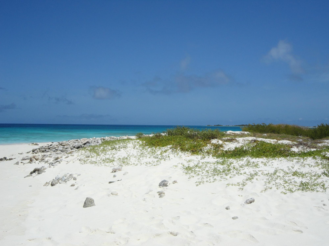 Carenero Island-洛斯罗克斯国家公园必去景点