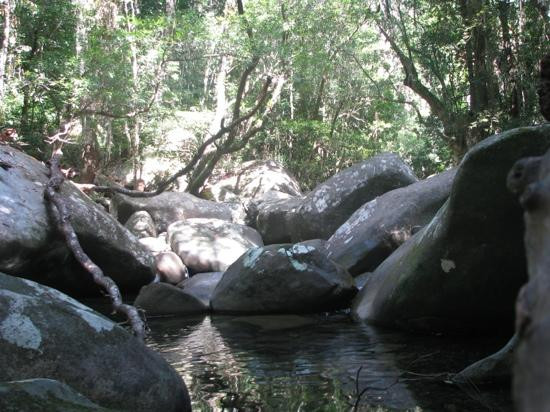 Mason's Tours-Cape Tribulation必去景点