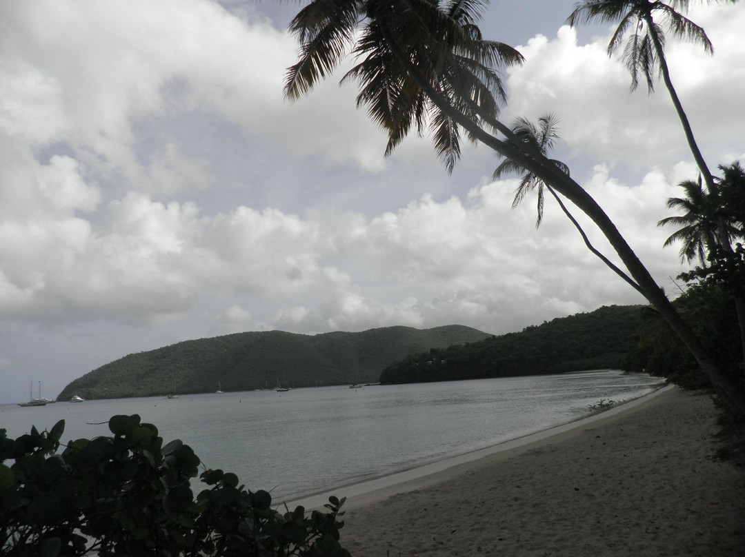 Maho Bay Beach-克鲁兹湾必去景点