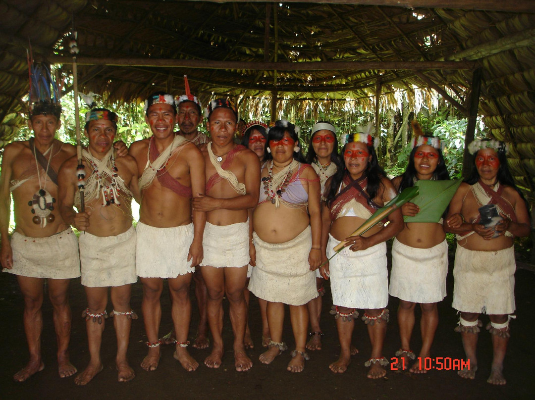 Amazon Rainforest景点图片