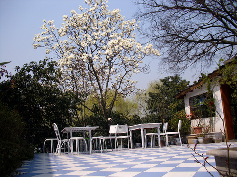 杭州国际青年旅舍主图