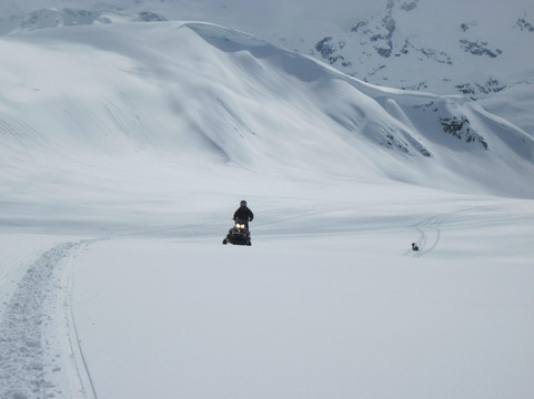 Totally Awesome Adventures-Pemberton必去景点