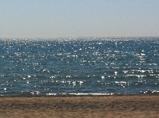 沙滩区-多伦多必去景点