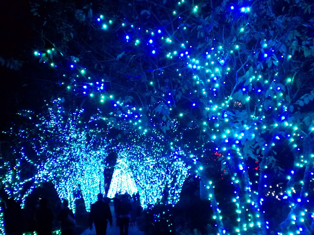 亚特兰大植物园-亚特兰大必去景点