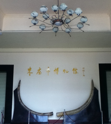 枣庄市博物馆-枣庄市必去景点