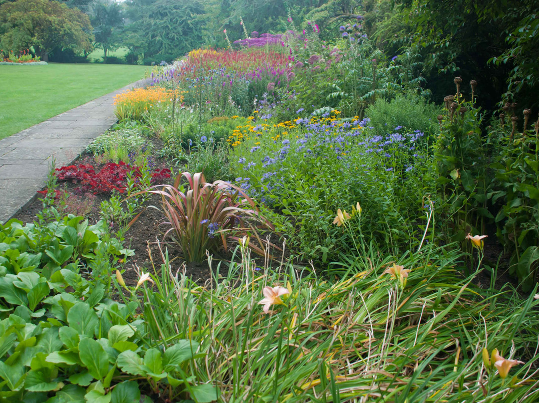 Botanical Gardens at Victoria Park景点图片