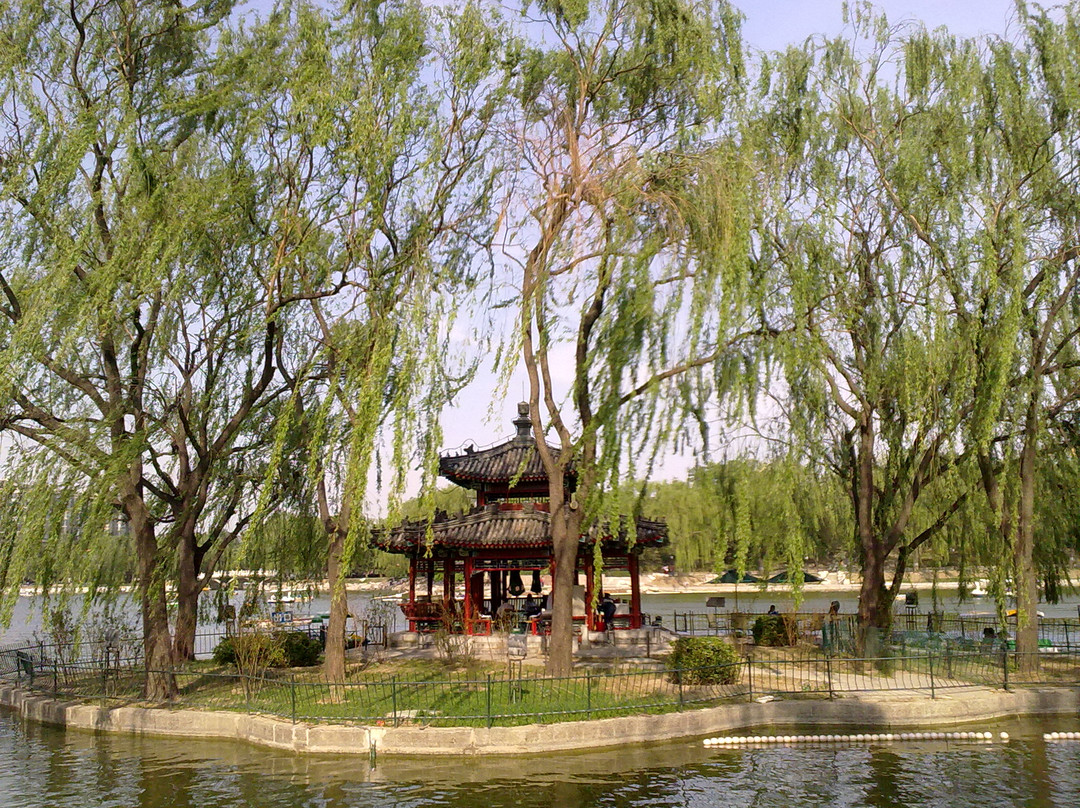 陶然亭公园-北京市必去景点