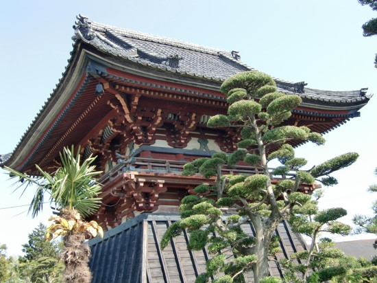 Shoro in Saifukuji Temple-西尾市必去景点