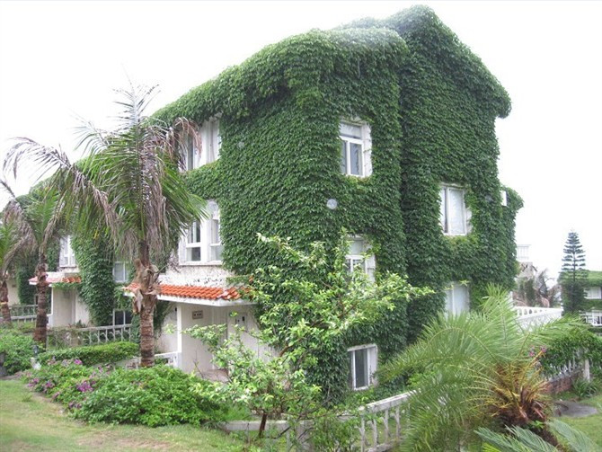 巽寮湾度假-惠东县必去景点