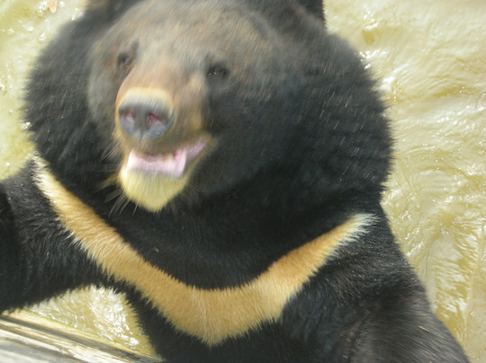 桂林雄森熊虎山庄-临桂县必去景点