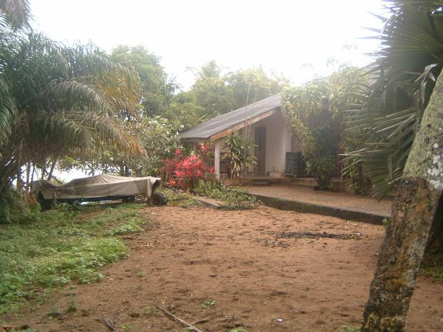 African Dream