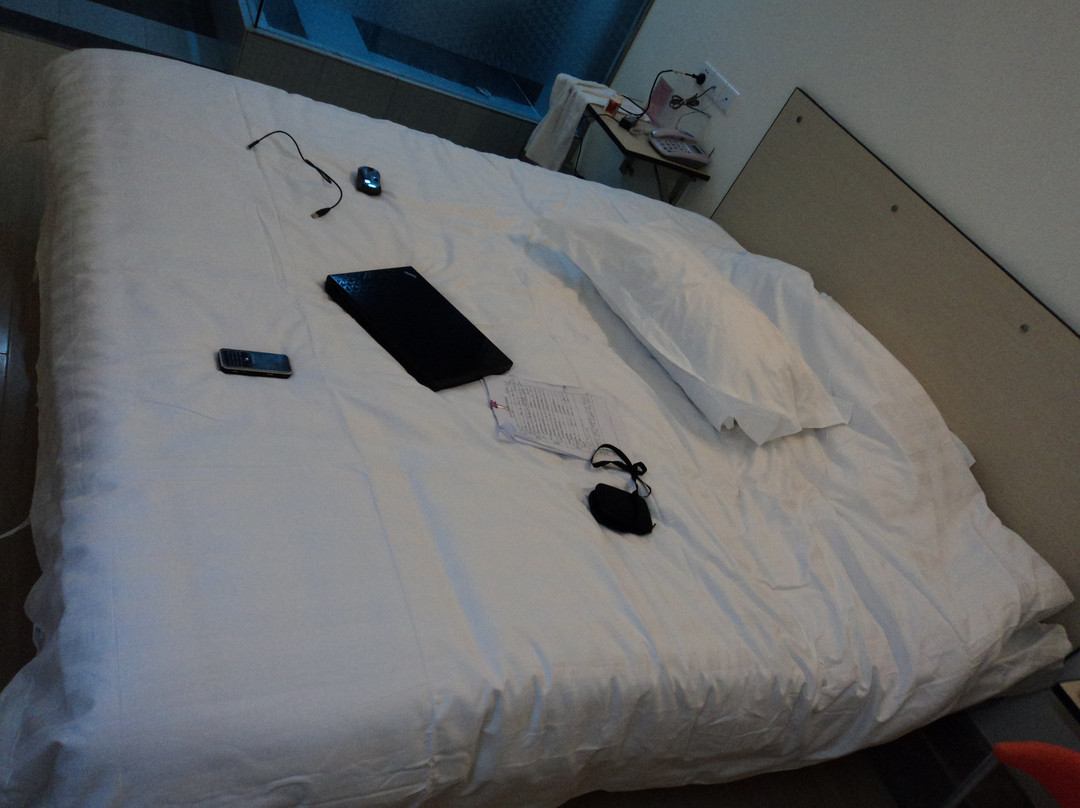 安阳安逸99快捷旅馆文峰立交桥店主图