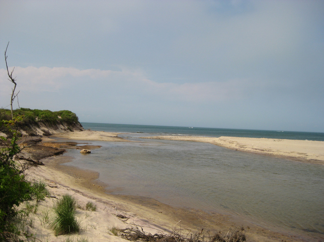 Theodore Roosevelt County Park-蒙托克必去景点