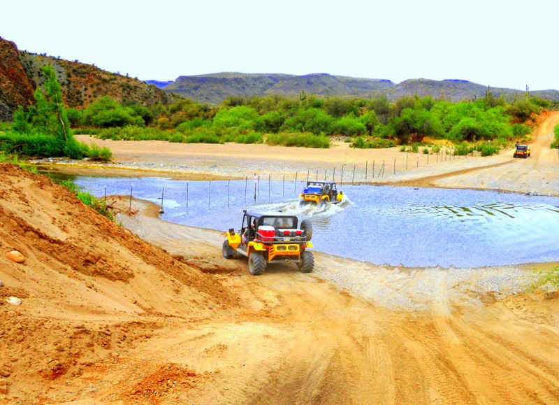 Desert Wolf Tours-凤凰城必去景点