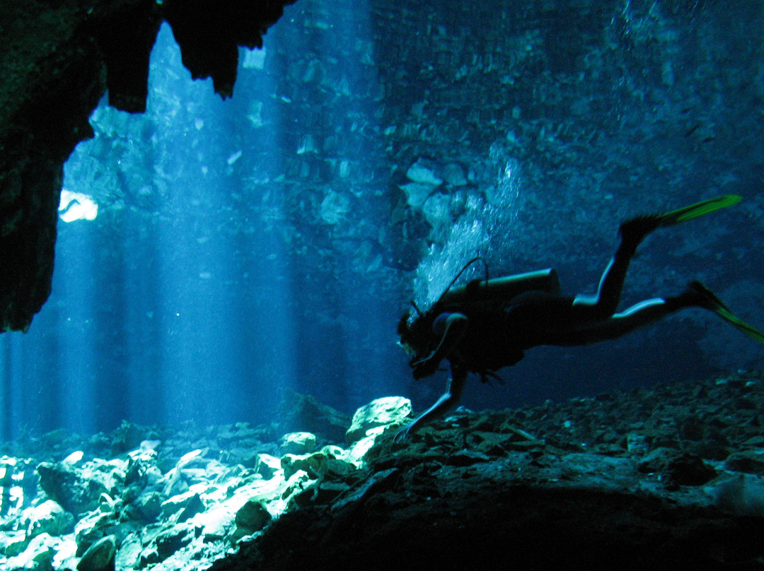 Mayan Ecotours-梅里达必去景点
