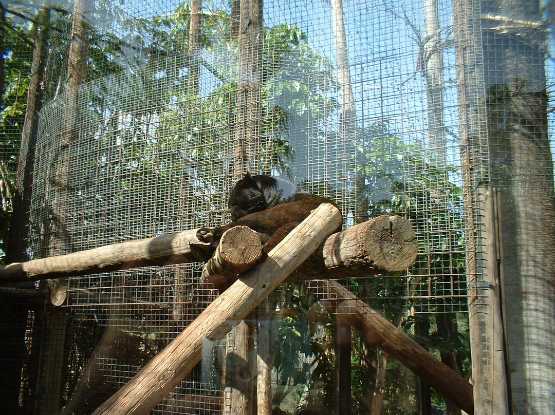 Park Las Aquilas Jungle Park-阿罗纳必去景点