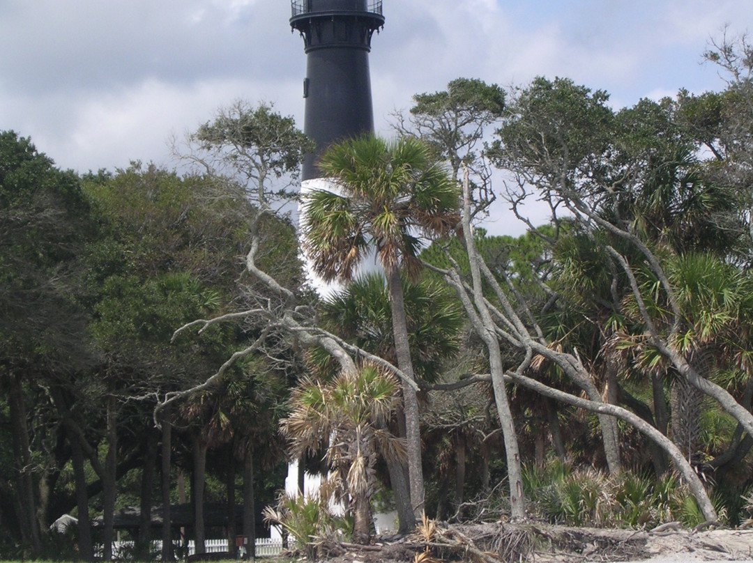 Hunting Island State Park景点图片