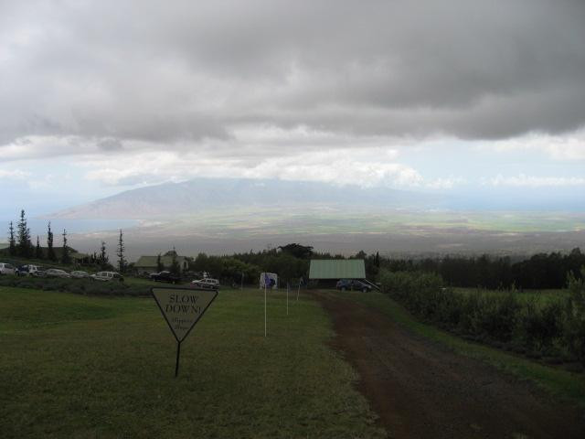 Alii Kula Lavender-库拉必去景点