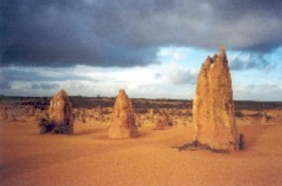 Nambung National Park景点图片
