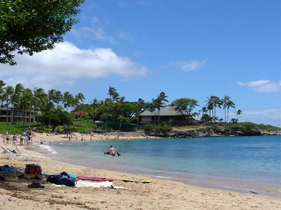 D.T. Fleming Beach Park景点图片