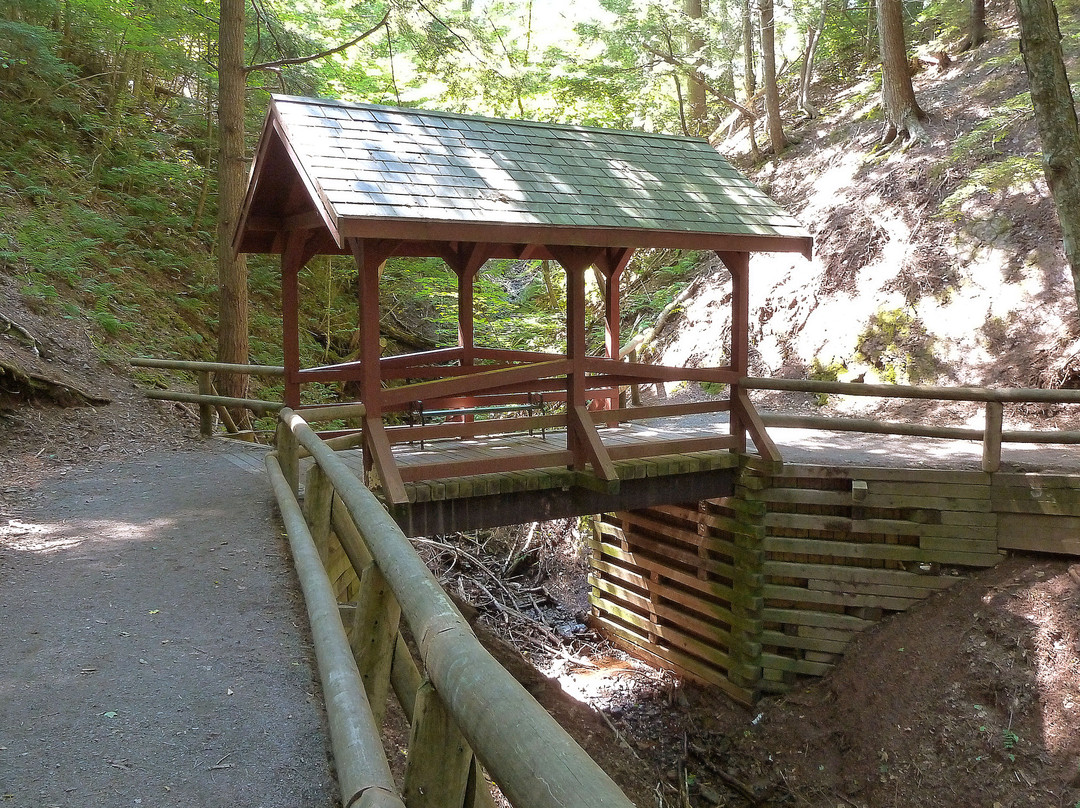 Victoria Park-Truro必去景点