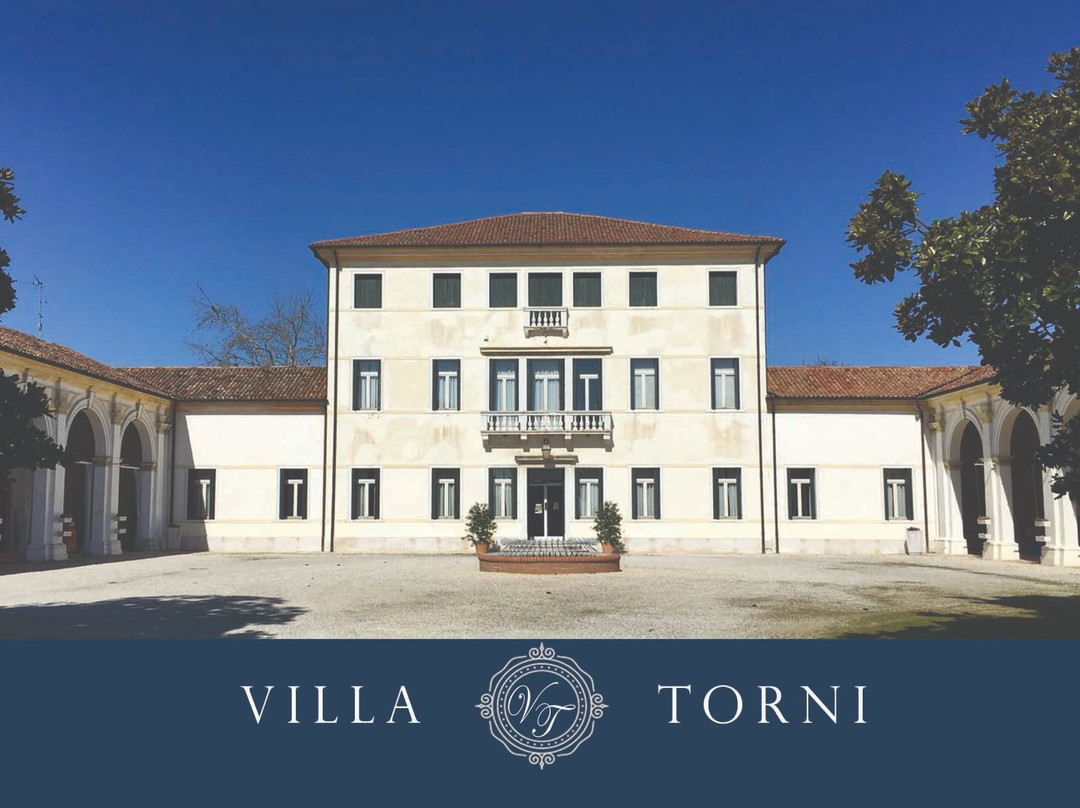 Villa Torni景点图片