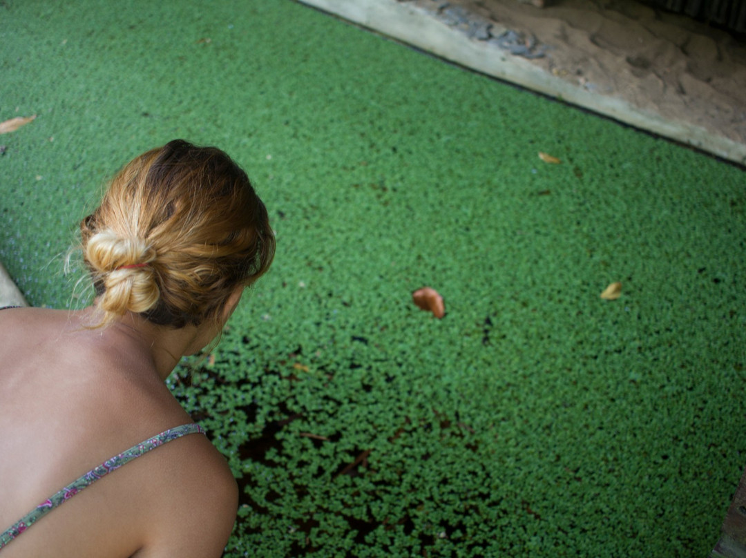 Unique Exotic Hotel主图