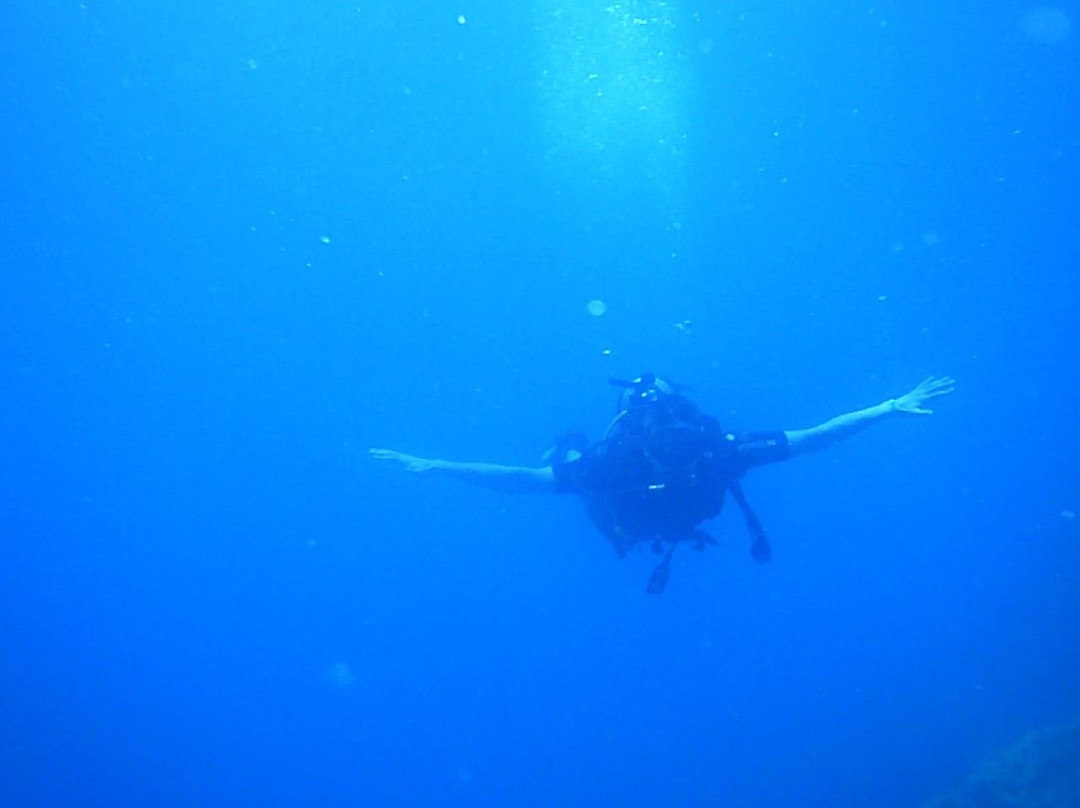 The Dive Center-亚喀巴必去景点