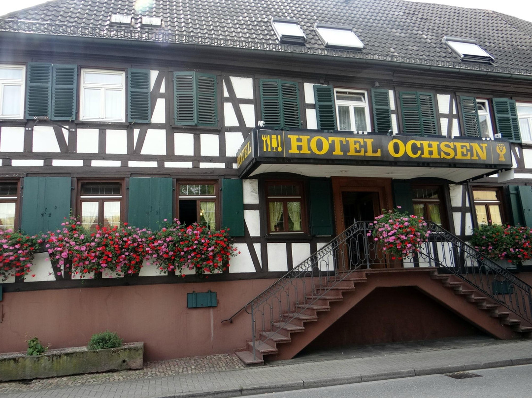 Ochsen