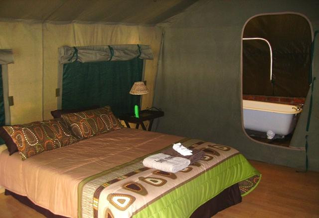 Phokoje Game Lodge