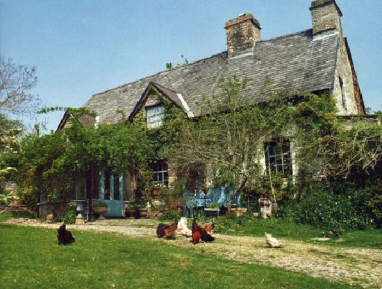 Hafod-Y-Garreg-官方