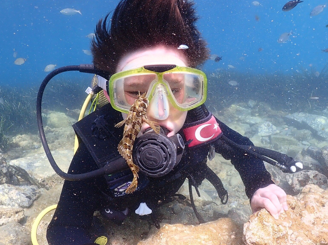 Kusadasi Diving Center景点图片