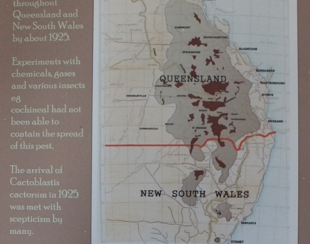 Cactoblastis Monument