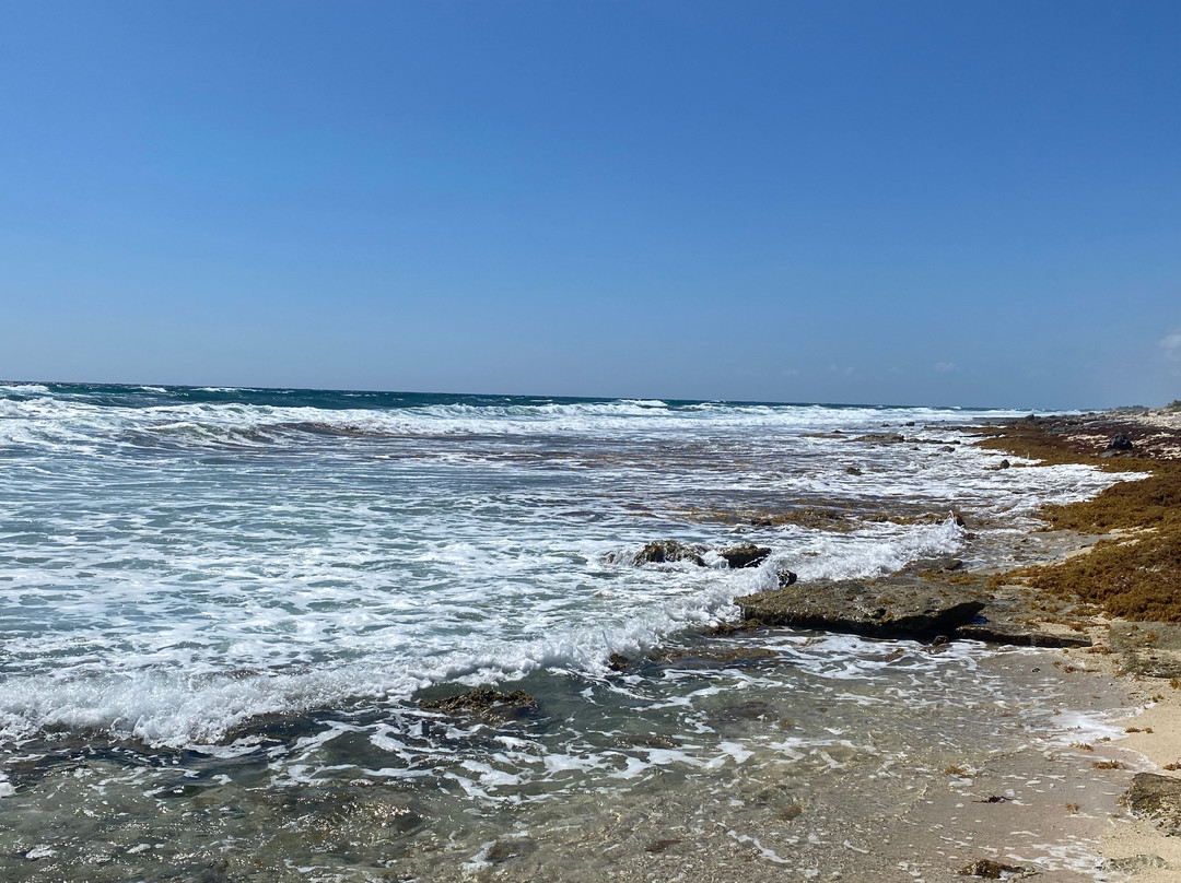 Playa Mezcalitos景点图片
