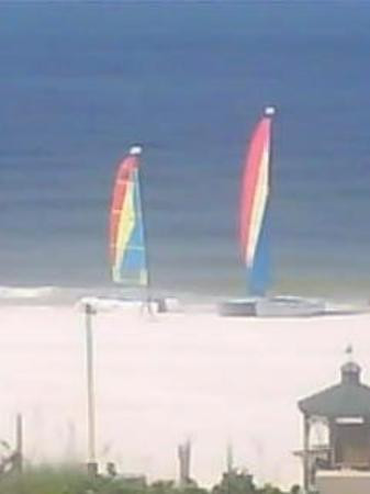 Marco Island Marina景点图片