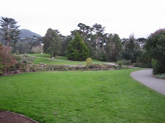 斯翠宾植物园旧金山植物园-旧金山必去景点