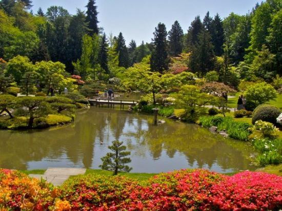 华盛顿植物园景点图片