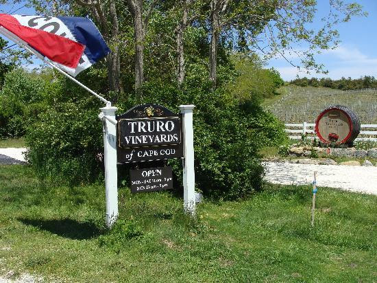 Truro Vineyards景点图片