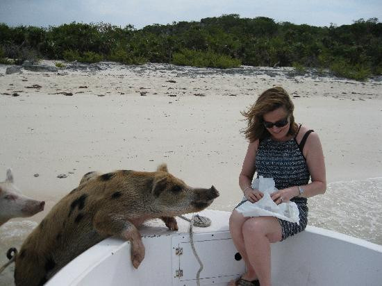 Fowl Cays National Park-Great Abaco Island必去景点